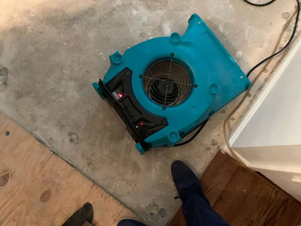 Air mover drying subfloor during Commercial Water Damage Restoration in Sherrelwood