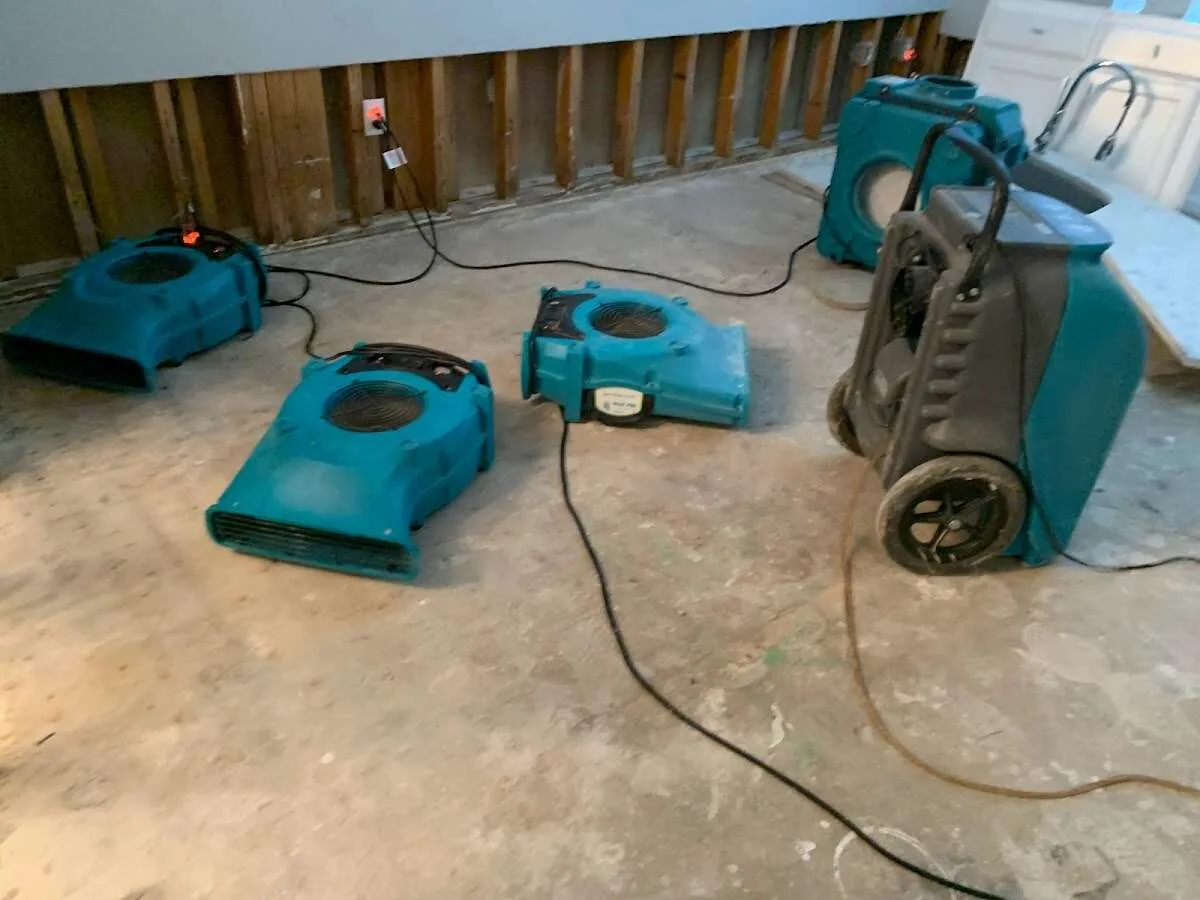 Emergency Water Damage Services in Sherrelwood, CO